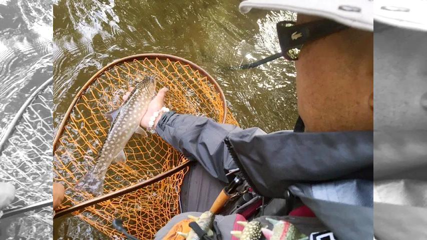 TROUT QUEST 15 北の大地を満喫！上りアメマスをクエスト