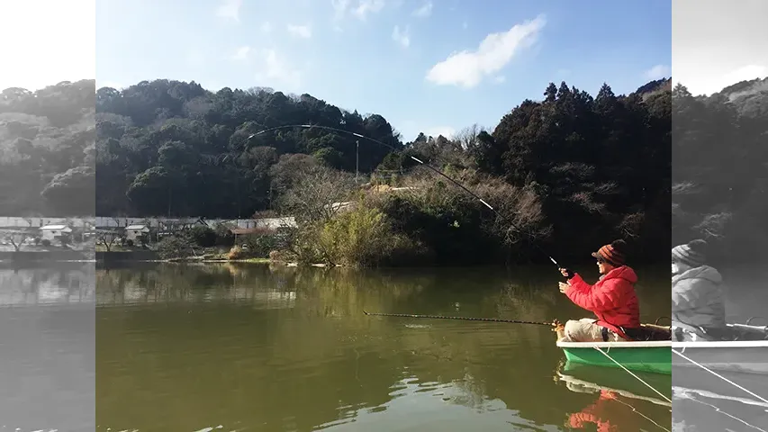 ヘラブナギャラリー