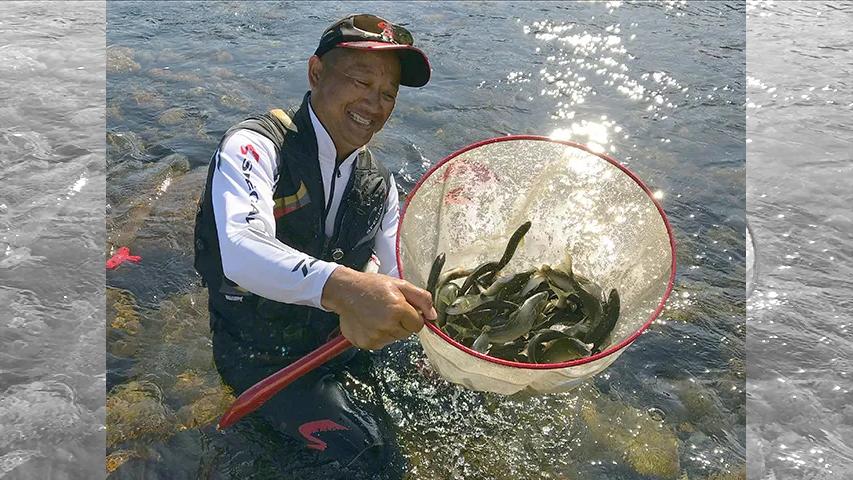 鮎2018 有岡只祐 The地元 安田川
