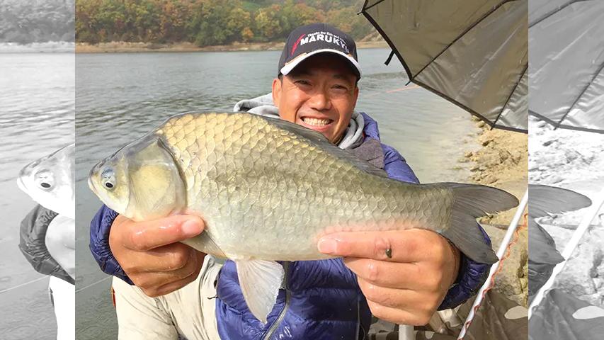ヘラブナギャラリー 紅葉抱く東北屈指の名所 前川ダム 釣りビジョン