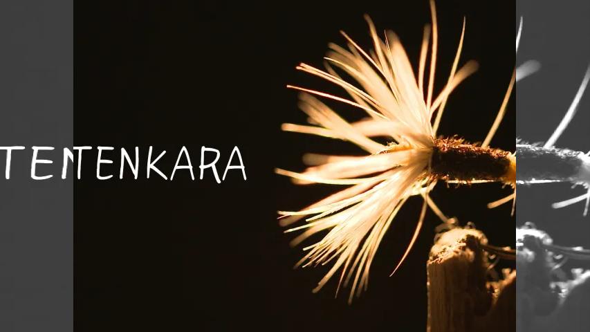 TENKARA 日本伝統の毛ばり釣り「TENKARA」（テンカラ）の魅力