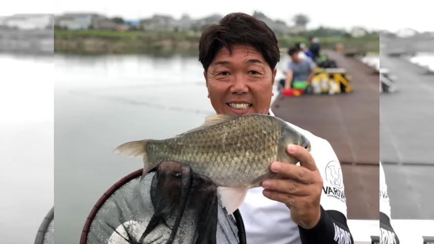 ヘラブナギャラリー 梅雨の浅ダナ 夏のチョウチン 伊藤宏二の両ダンゴスタイル 釣りビジョン
