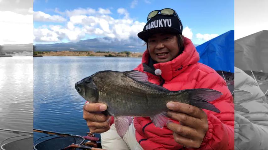 ヘラブナギャラリー 12月の田貫湖 冬の野釣りを楽しむ 釣りビジョン