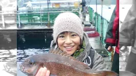 こちら東海です。 42　～あの爆釣が忘れられない！大人気の海上釣り堀へ！～
