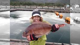 関西発 海釣り派 72 茜香ちゃん大興奮 冬の海上釣り堀を満喫 釣りビジョン