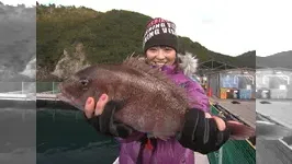 こちら東海です。 その67 海上釣り堀で高級魚を狙え！