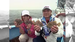 こちら東海です。 その74 カワハギ釣りに初挑戦！