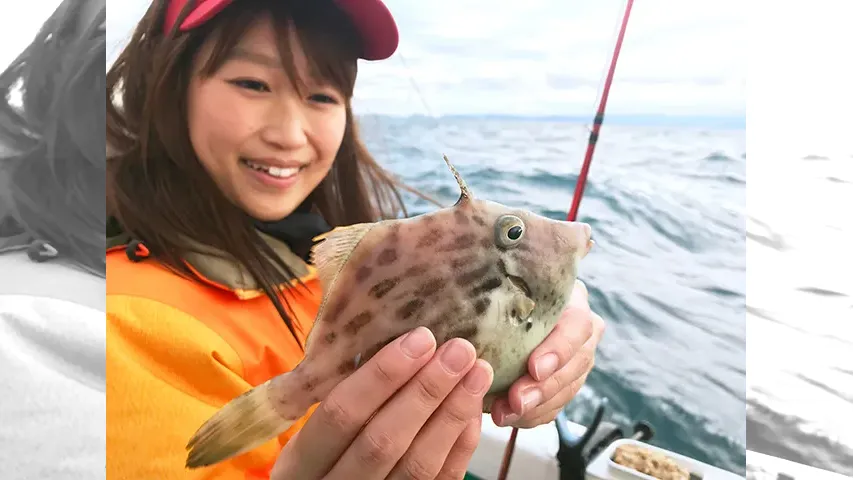 その179 はじめての船カワハギ！荒波でも釣れるし！