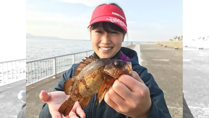 その180 シーズン間近！明石市でエビ撒きメバル釣り！