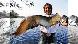 魚種格闘技戦！SP BATTLE in the WORLD