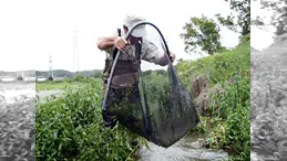お手軽「みぢかぎょ」 ～身近な魚をお手軽ふぃっしんぐ！～