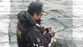伝心伝承 63　鵜来島 激変する海水温
