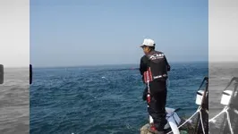 伝心伝承 65 瀬戸内海の楽園　銀鱗の瀬戸内チヌ攻略