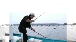 伝心伝承 66 　鳴門真鯛と旬のスズキ攻略