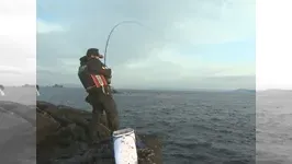 伝心伝承 74 高知県沖ノ島～波間に見える巨大尾長グレ～
