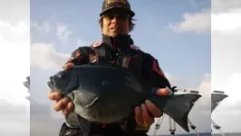 伝心伝承 75　高知県沖ノ島＆鵜来島　史上最大のピンチに鬼才は何を思う