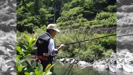 伝心伝承 77 高知県四万十川水系～清流に漂う鮎の香り～