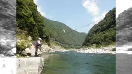 伝心伝承 80　徳島県吉野川～大歩危峡の巨鮎攻略～