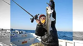 Megacomplex phase 7  サイエンスで証される魚たちの真実