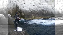 伝心伝承 84 高知県沖ノ島 巨大オナガの巣窟で大ピンチ！鬼才起死回生の一手とは…