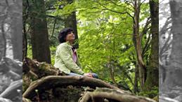 森のチカラ 第一回 富士山から生まれる水を見に行く