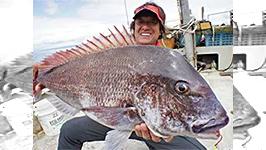 魚種格闘技戦 Battle 129 おはよごす 陸奥湾どってんマダイ 釣りビジョン