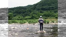 伝心伝承 116　青森県＆秋田県～旨い東北鮎を求めて～