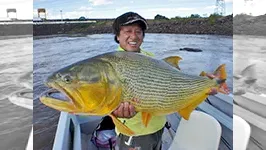 魚種格闘技戦！ BATTLE-135 第1幕 南米ウルグアイ黄金に輝く河の虎・極金！ドラード