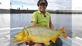 魚種格闘技戦！ BATTLE-135 第2幕 南米ウルグアイ黄金に輝く河の虎・極金！ドラード