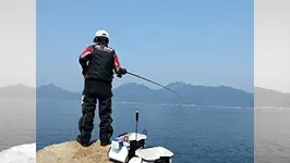 伝心伝承 137 チヌの天敵×広島湾ノッコミのチヌ