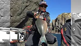 伝心伝承 145　高知県沖の島 ～群青の海に群れる巨大尾長を追う～