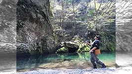 伝心伝承 148 愛媛県・面河川水系　～春の清流に艶やかな渓魚を求めて～