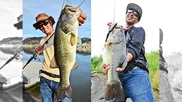 DAZZLE！ 3 アメリカへの挑戦