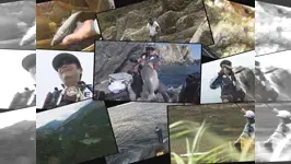 伝心伝承 157 2015年総集編