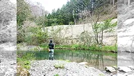 伝心伝承 159 高知県四万十川水系 春うららかなアマゴ釣り