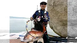 伝心伝承 161 瀬戸内海・広島湾　～チヌの天敵、此処にあり～