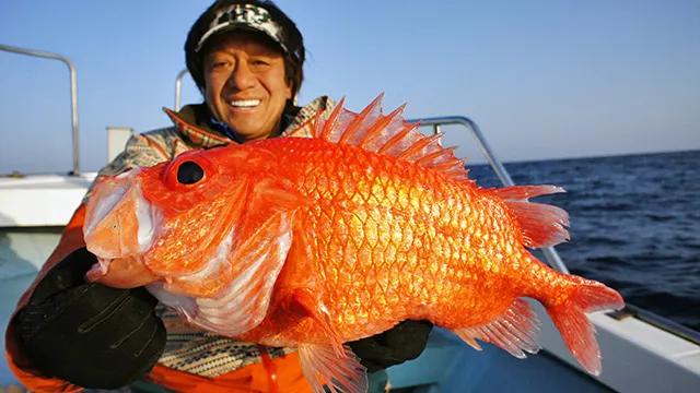 魚種格闘技戦 Battle 179 冬の龍馬の休日にはでっかい魚を釣りたいに決まっちゅう 釣りビジョン