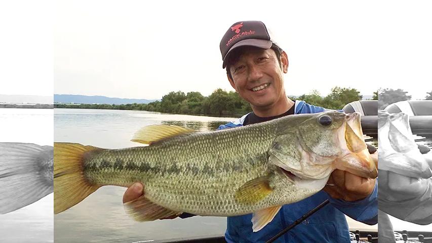Lure Freak これぞバスフィッシング 白紙状態の秋の長良川を攻略する 釣りビジョン