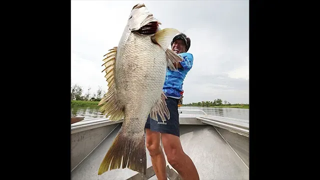 魚種格闘技戦！