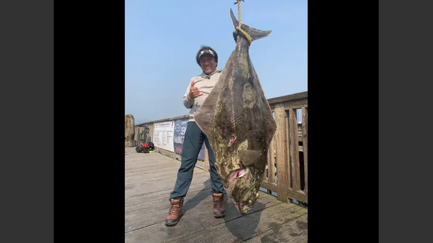 魚種格闘技戦！