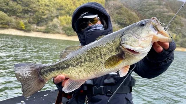 Big Bite番組一覧 バックナンバー 釣りビジョン