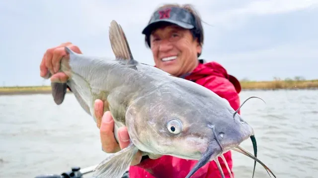 魚種格闘技戦！ BATTLE-241 カスミ水系に潜む髭ダン的ぬしを探し当てろ！