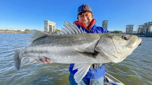 魚種格闘技戦！