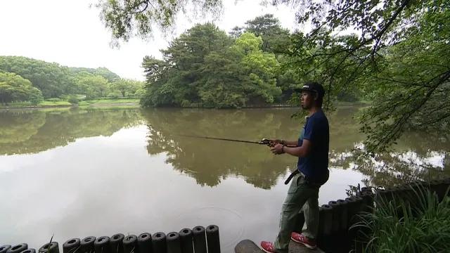 釣り百景 300 アメリカバストーナメントに挑む 果てなき夢の原点 釣りビジョン