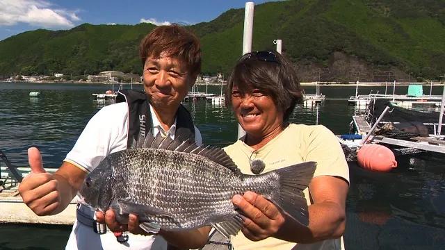 釣り百景 307 チヌ 筏釣りへの誘い 尾鷲湾に潜む大物を狙う 釣りビジョン