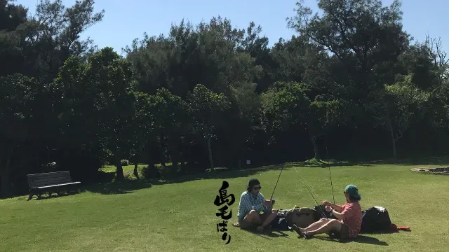 フライギャラリー