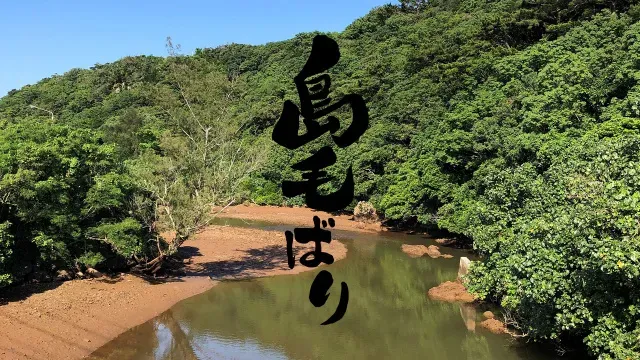フライギャラリー