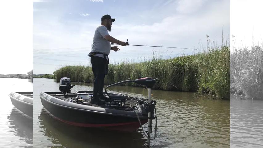 BLACKBASSTAR