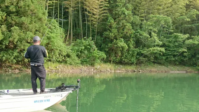 BLACKBASSTAR