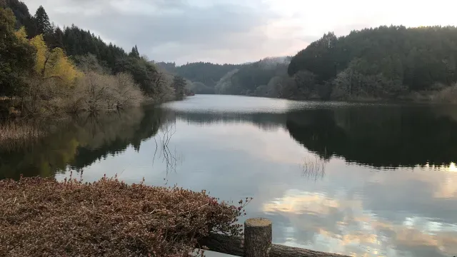 INCREDIBASS